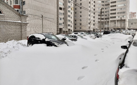 Кому в снегопад жить хорошо?