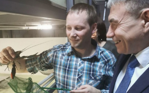 Во Владимирской области будут выращивать раков из Австралии