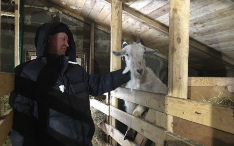 "Нутрии на морозе жить не могут, у них кожаный хвост сразу отмерзнет"