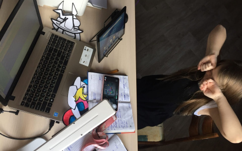 «Учились с 8 утра до 10 вечера»: жительница Владимира о том, как из-за дистанционных уроков у её ребёнка упало зрение