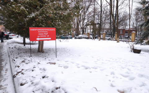 Количество заболевших коронавирусом снижается, количество смертей - нет