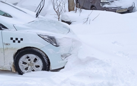 Антимонопольная служба проверит ценообразование Яндекс такси