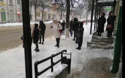 Владимир накрыл ледяной апокалипсис