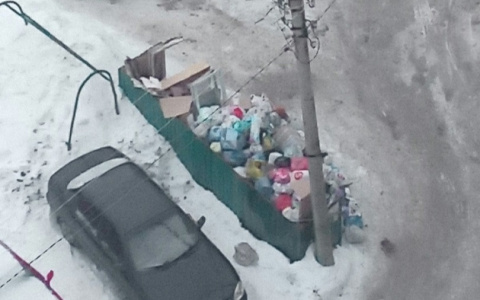 Жители Владимира жалуются на переполненные мусорные баки