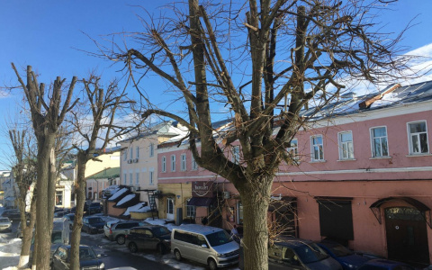 Праздничные выходные во Владимире обещают быть морозными