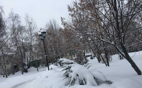 Минус 16 градусов в марте. Норма или аномалия?