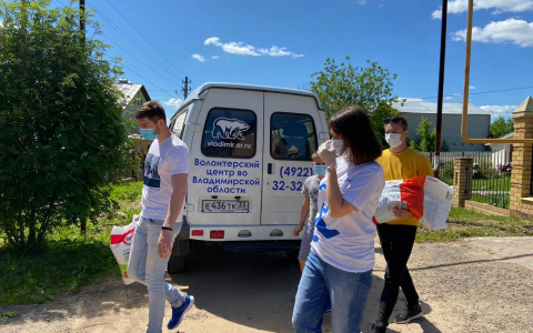 «Единая Россия» против убийства бездомных животных