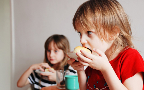 В детском саду детей накормили едой с кишечной палочкой и стафилококком