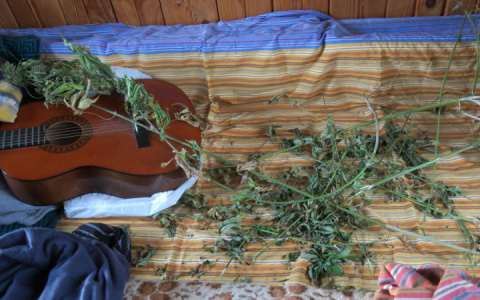 "Масштабы наркотизации населения - это угроза безопасности наших граждан".