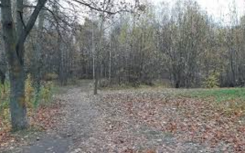 Строительства 18-этажного жилого дома возле "Козьего парка" не избежать