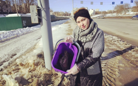 Эксперимент "Pro Города": сколько грязи скрывают сугробы на обочине