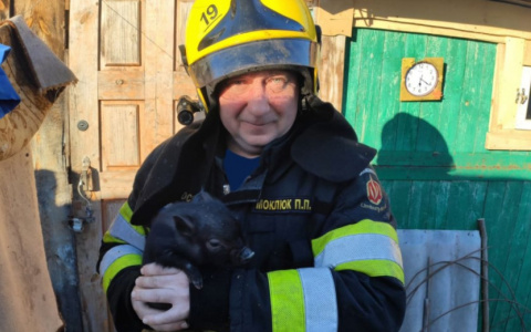 На пожаре в Красном Эхе спасли кролика, двух куриц и двух свиней