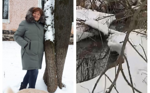 Не дадим Нерль в обиду: независимые экологи приедут с комиссией к зловонным стокам у реки