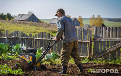 Дачников предупредили о новом штрафе