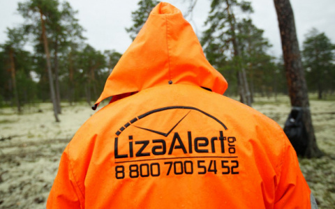 С начала года во Владимирской области пропали 75 человек