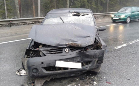 Во Владимирской области за неделю произошло 18 ДТП с пострадавшими