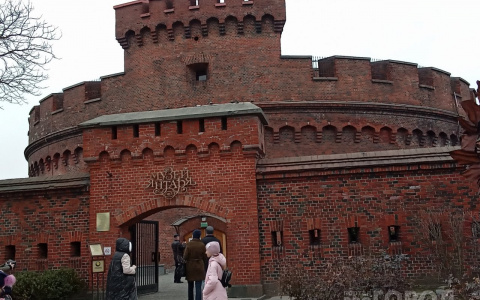 Как владимирцы могут получить кэшбек с путешествий по России?