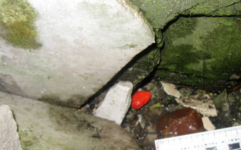 Во Владимирской области у пассажиров поезда обнаружили более 30 свёртков с героином