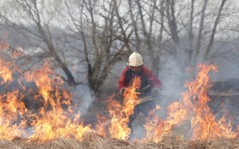 Жительница Муромского района пострадала при сжигании сухостоя