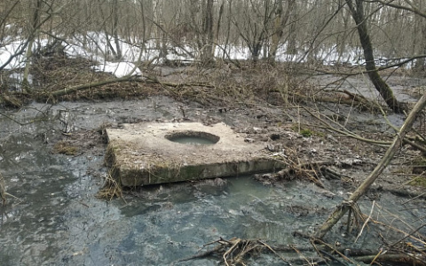 Росприроднадзор подтвердил загрязнение реки Нерль у посёлка Сокол