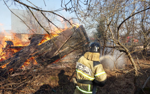 Из-за брошенного окурка едва не сгорела деревня в Киржачском районе