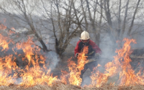 Из-за пала сухой травы в Гусь-Хрустальном районе может сгореть деревня