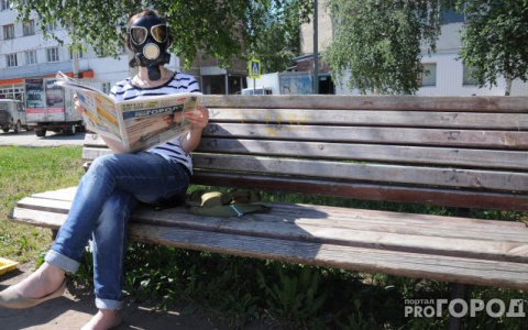 Названы районы Владимирской области с самым чистым воздухом