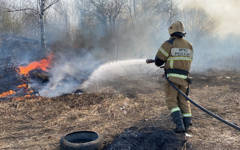 Площадь травяных пожаров во Владимирской области превысила тысячу гектаров