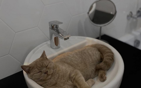 Мечты сбываются: как пара из Владимира сделала стильный ремонт при небольшом бюджете