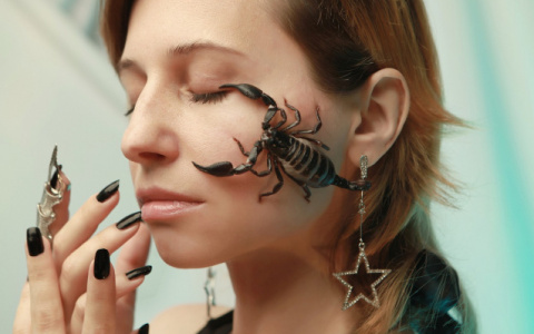 Гороскоп на 21 апреля: одни столкнутся с непониманием окружающих, а другим стоит держать себя в руках