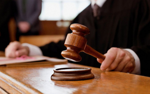 Из-за мультика "Три кота" на жительницу Мурома подали в суд