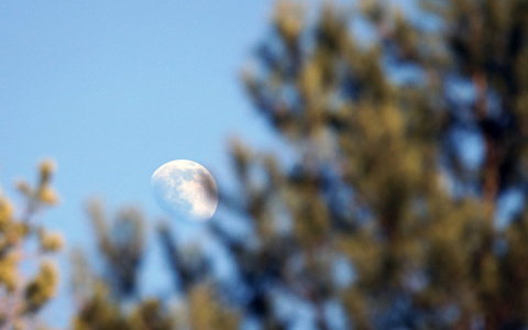 Владимирцы смогут увидеть суперлуну, если рассеются тучи