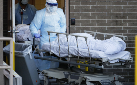 Коронавирус во Владимирской области: за сутки заразились 51 человек