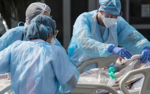 COVID во Владимирской области: за сутки заразились 55 человек