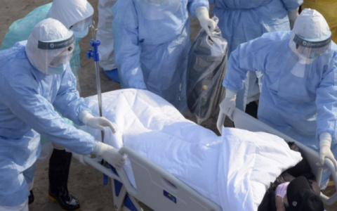 Коронавирус во Владимирской области: за сутки заразились 53 человека