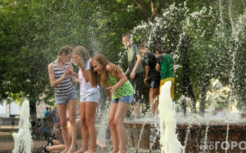 Синоптики: "Владимирцев ждёт аномальная жара"