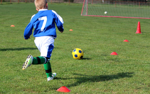 В России начинает работать кешбэк на детский отдых