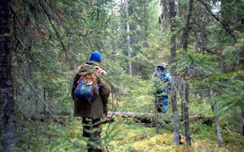 В лесу под Ковровом спасли ребёнка со сломанной ногой