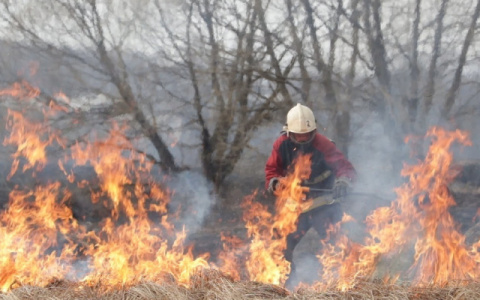 Во Владимирской области прогнозируется крайне неблагоприятная пожарная обстановка