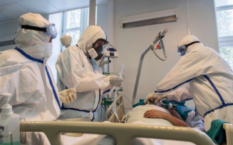 Коронавирус во Владимирской области: за сутки заразились 48 жителей