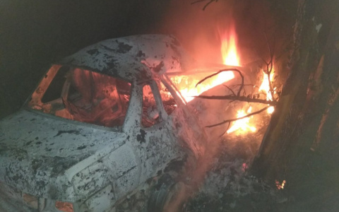 В ДТП в Камешковском районе человек заживо сгорел в машине