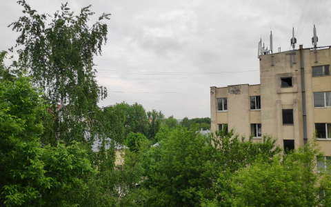 Какая погода ожидает владимирцев в последние майские выходные?