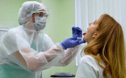 Коронавирус во Владимирской области: за сутки заболели 52 жителя