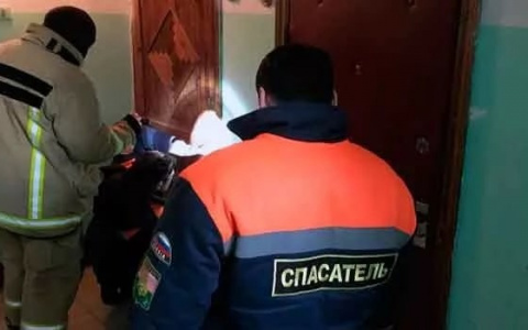 В Коврове на лежачего пенсионера упал шкаф