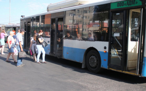 Перевозчик "АДМ" лишился ещё 6 автобусных маршрутов во Владимире
