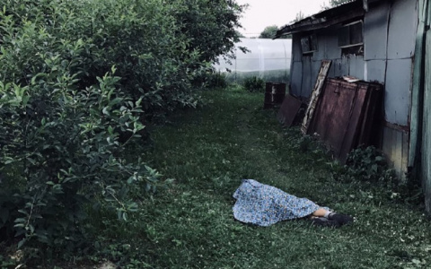 Появились подробности жуткого убийства пенсионерки в Юрьев-Польском районе