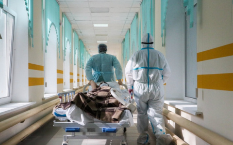 За сутки 203 жителя Владимирской области заразились коронавирусом