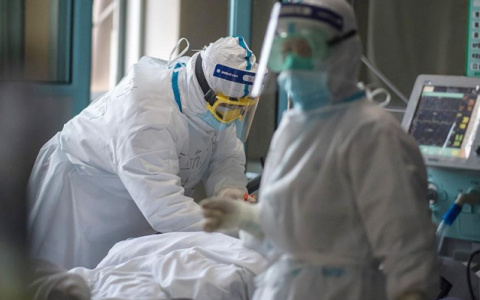 204 жителя Владимирской области заразились коронавирусом за сутки