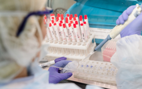 Во Владимирской области за сутки 201 житель заразился COVID-19