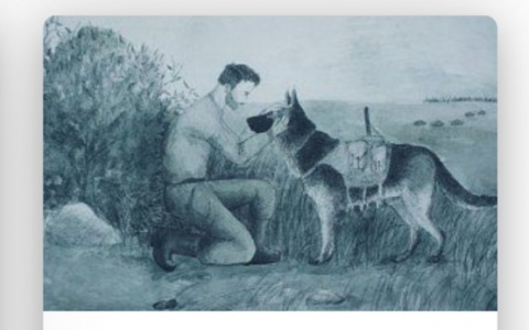 Рисунки владимирских детей о фронтовых собаках вошли в виртуальную выставку